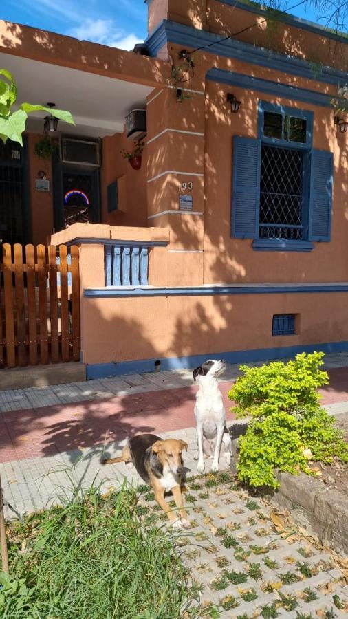 Hostel El Caminito Lgbtqiapn Plus Сантус Екстер'єр фото